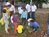 Tree Plantation